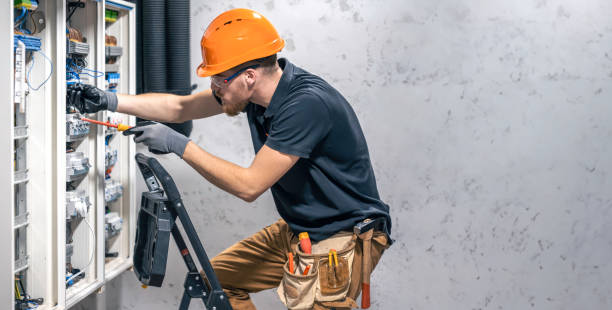 Best Electric Panel Repair  in Willow Springs, MO