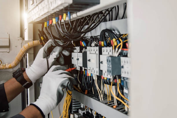 Best Electric Panel Repair  in Willow Springs, MO